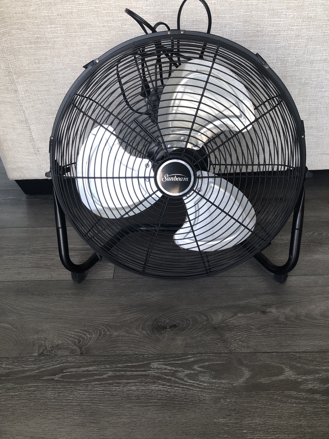 Sunbeam Black Floor Fan 🥕