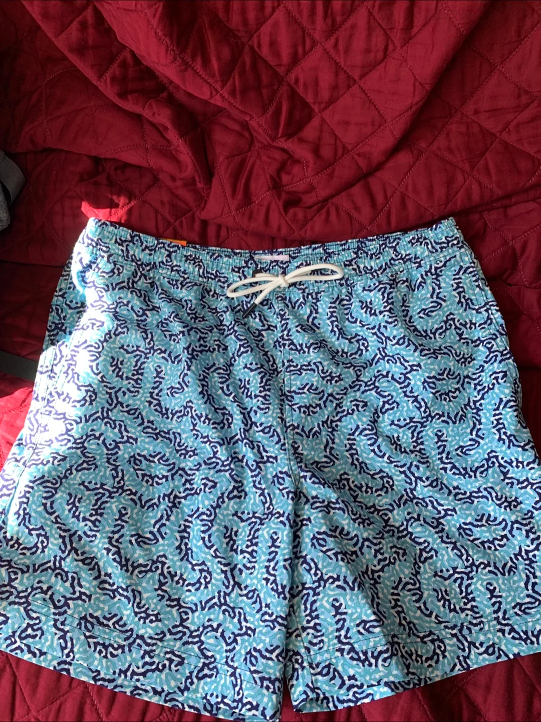 Swim Shorts brand new thumbnail