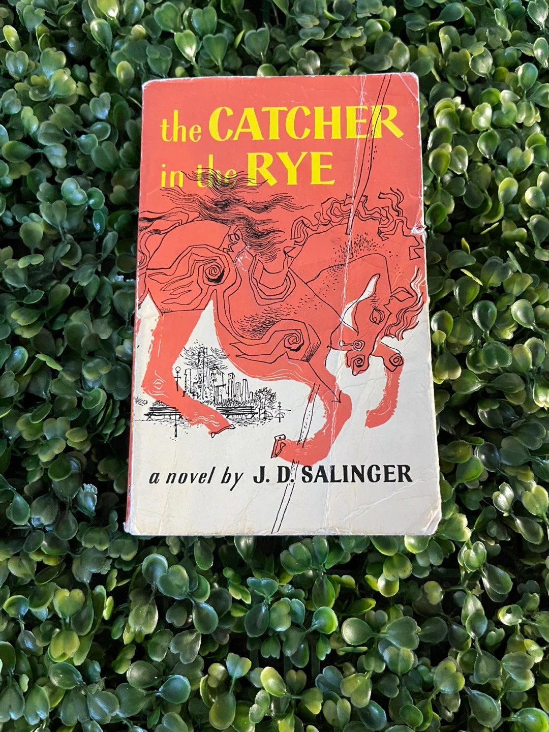 The Catcher In The Rye
