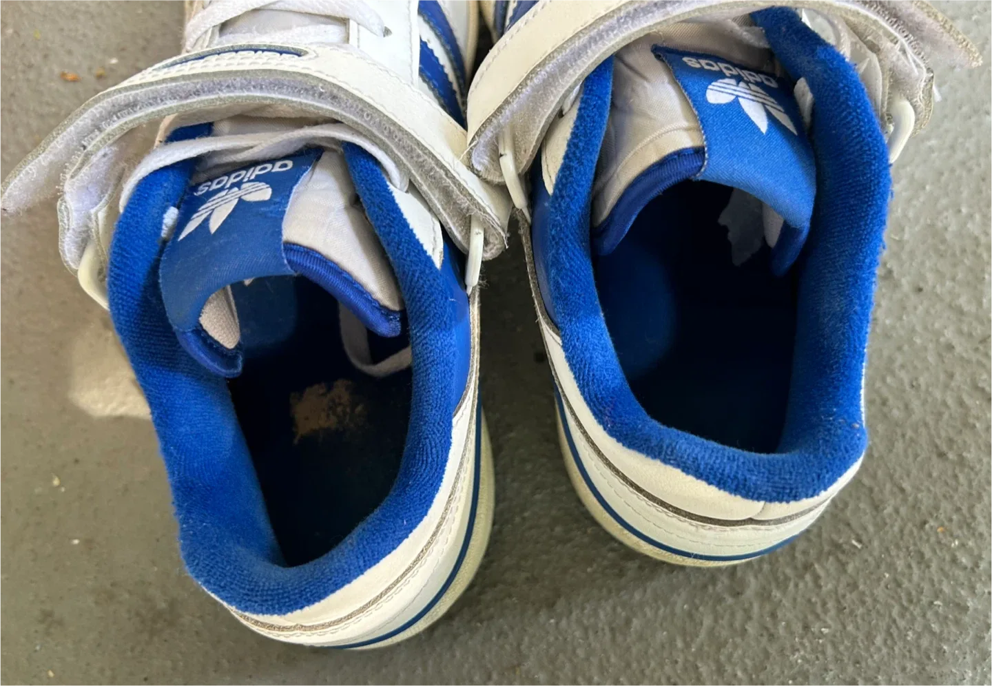 Adidas Forum Low White/Blue Sneakers image indicator(7)