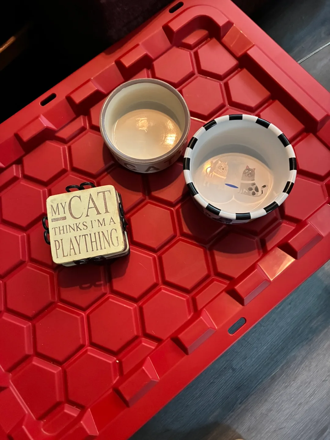 Cat Bowls & Coasters thumbnail