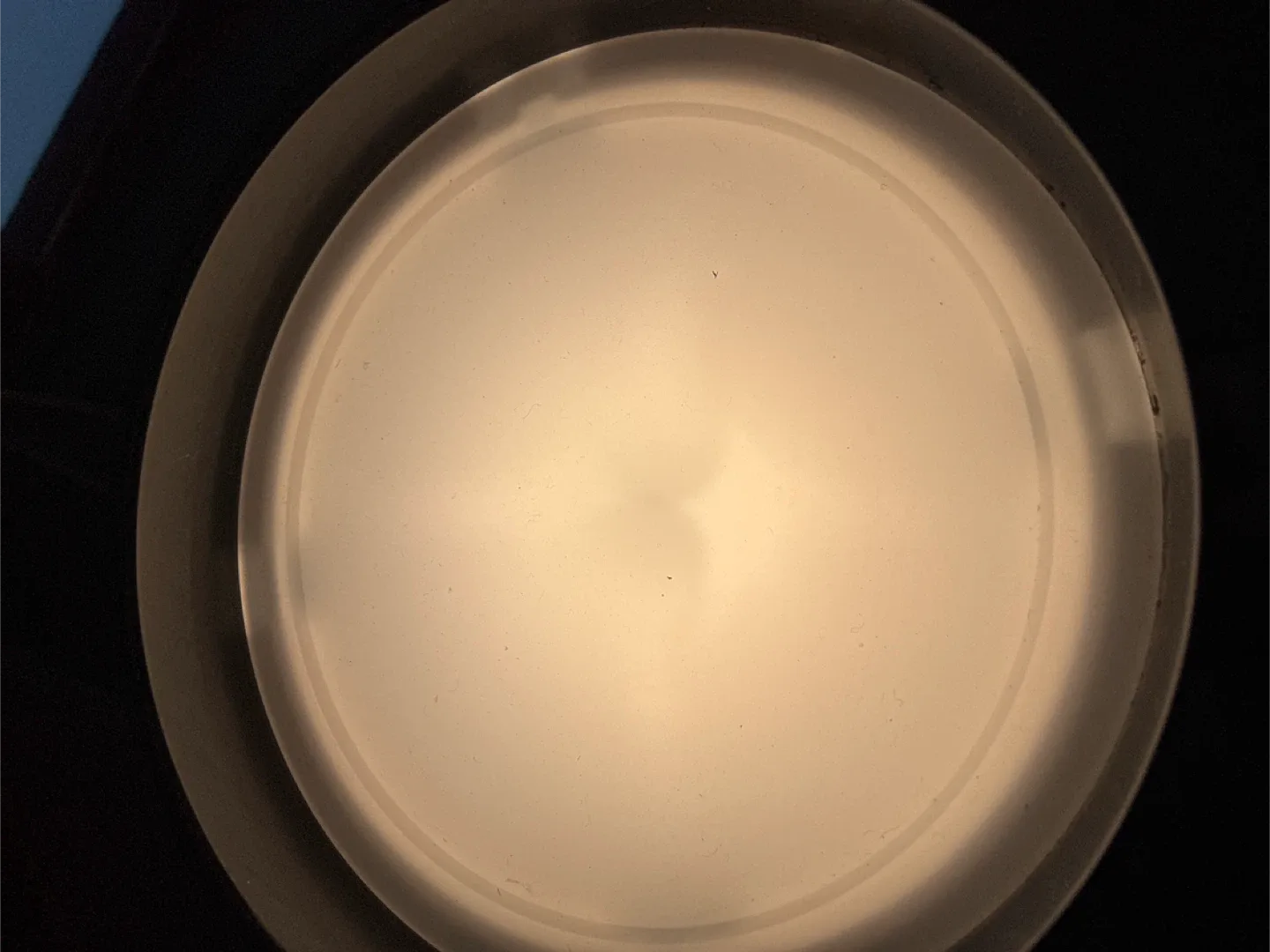 Black LED Desk Lamp 🥕 image indicator(2)