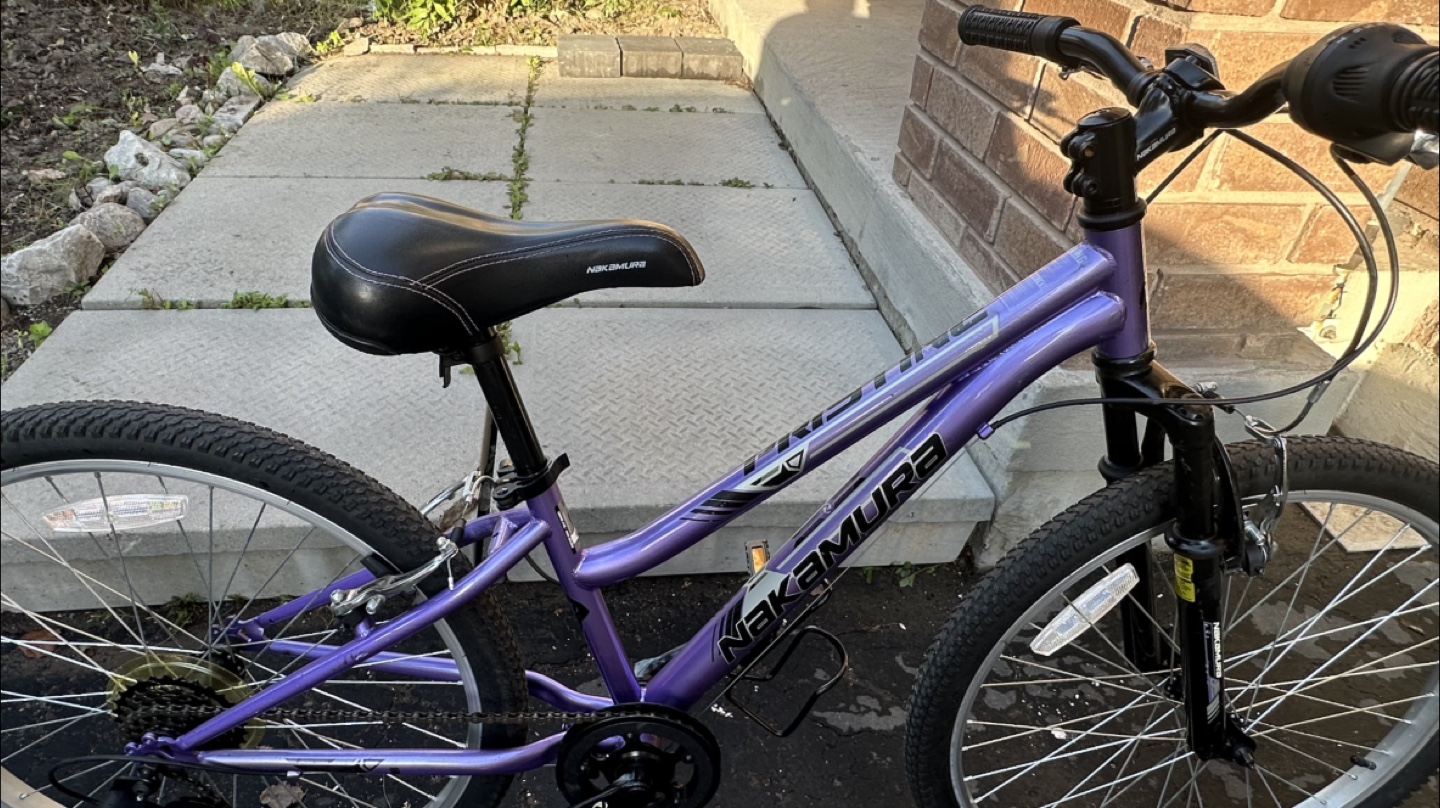 Nakamura 24” Purple Mountain Bike - photo 3