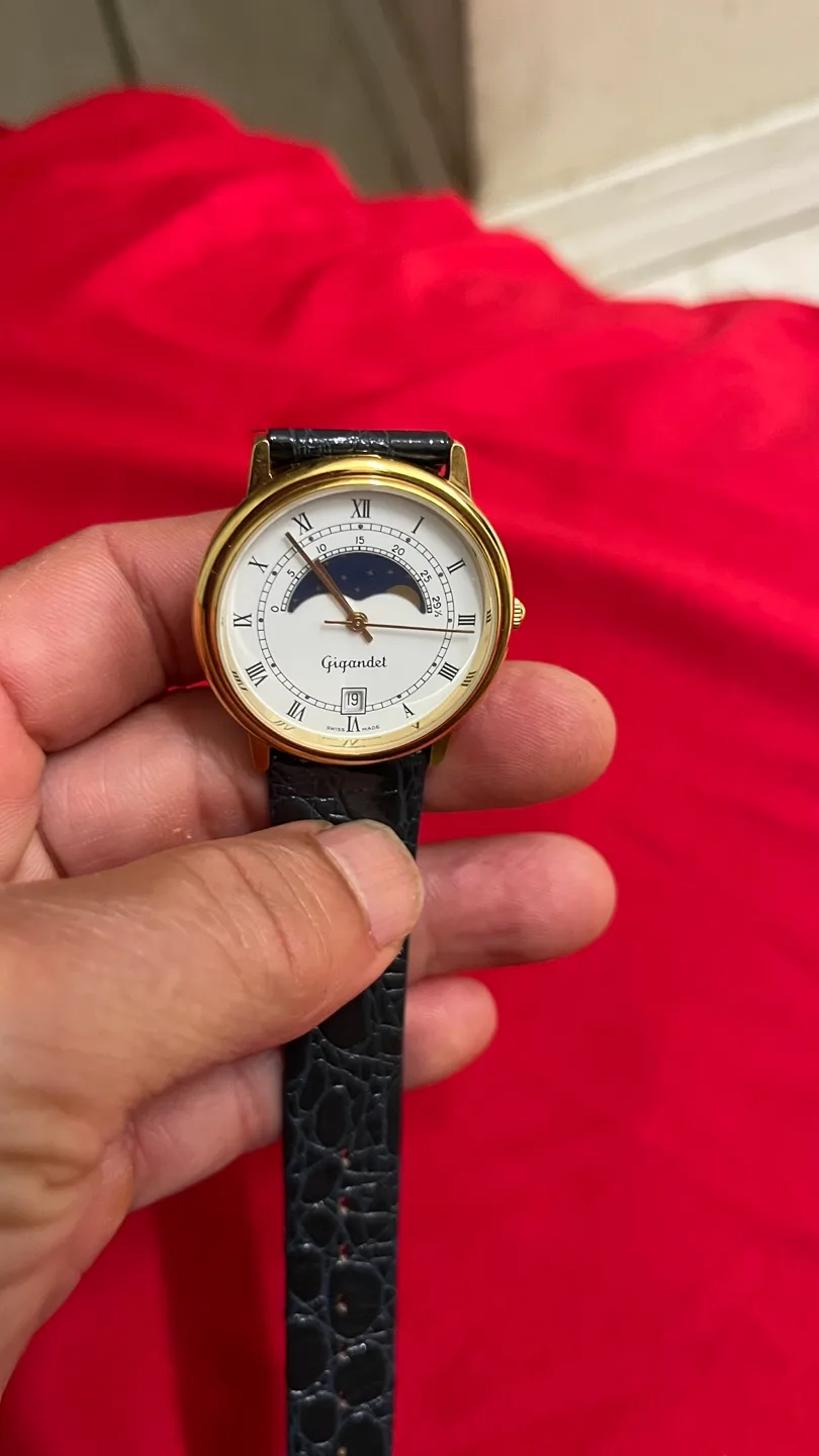 Gigandet Swiss Made Quartz Watch image indicator(2)