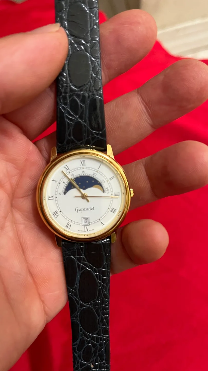 Gigandet Swiss Made Quartz Watch image indicator(3)