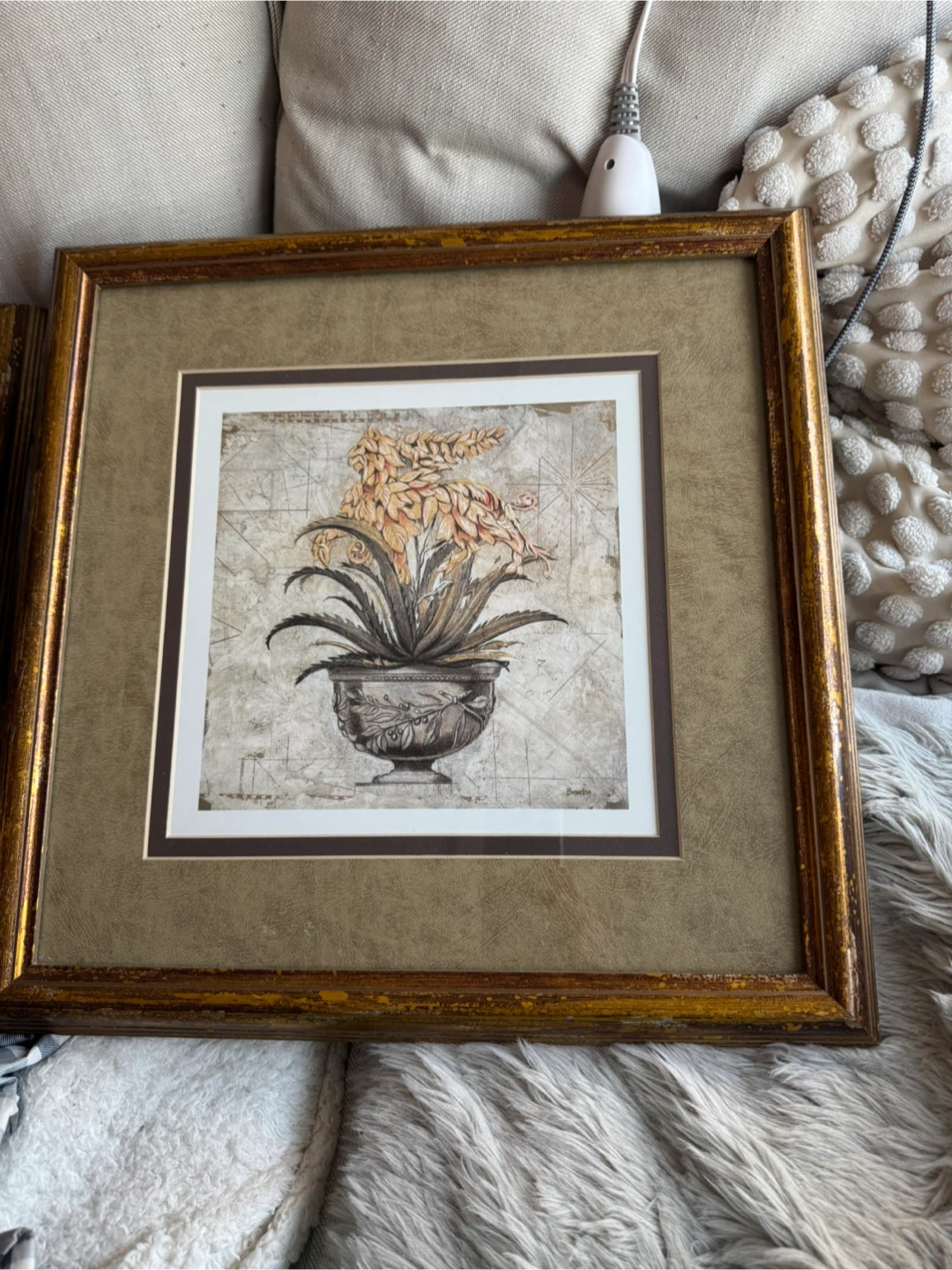 Framed Plant Prints (2)