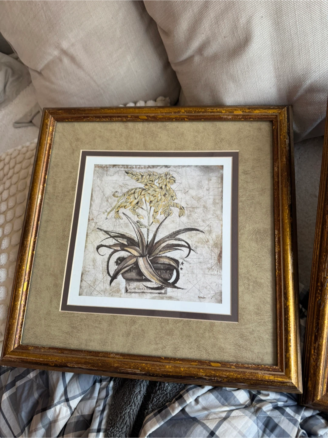Framed Plant Prints (2) - photo 2