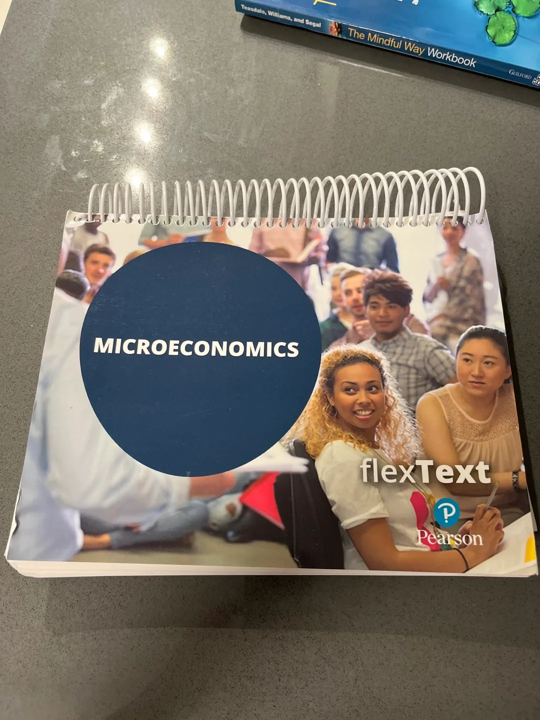 Microeconomics flexText Pearson Textbook thumbnail