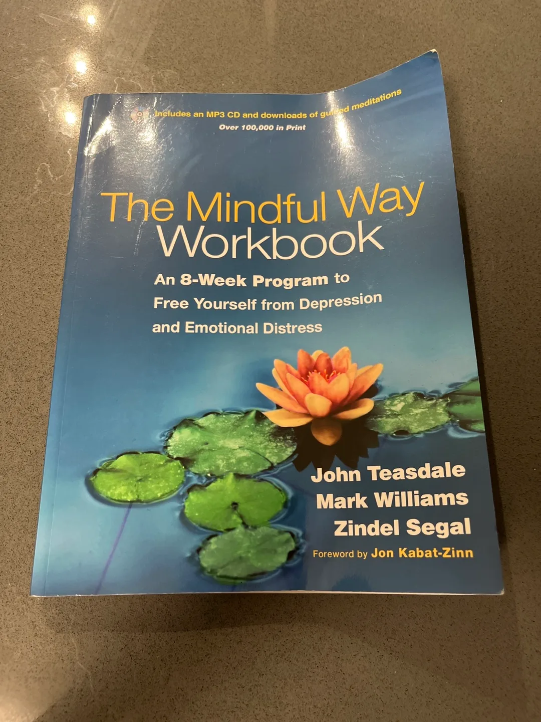The Mindful Way Workbook by Teasdale, Williams, Segal thumbnail