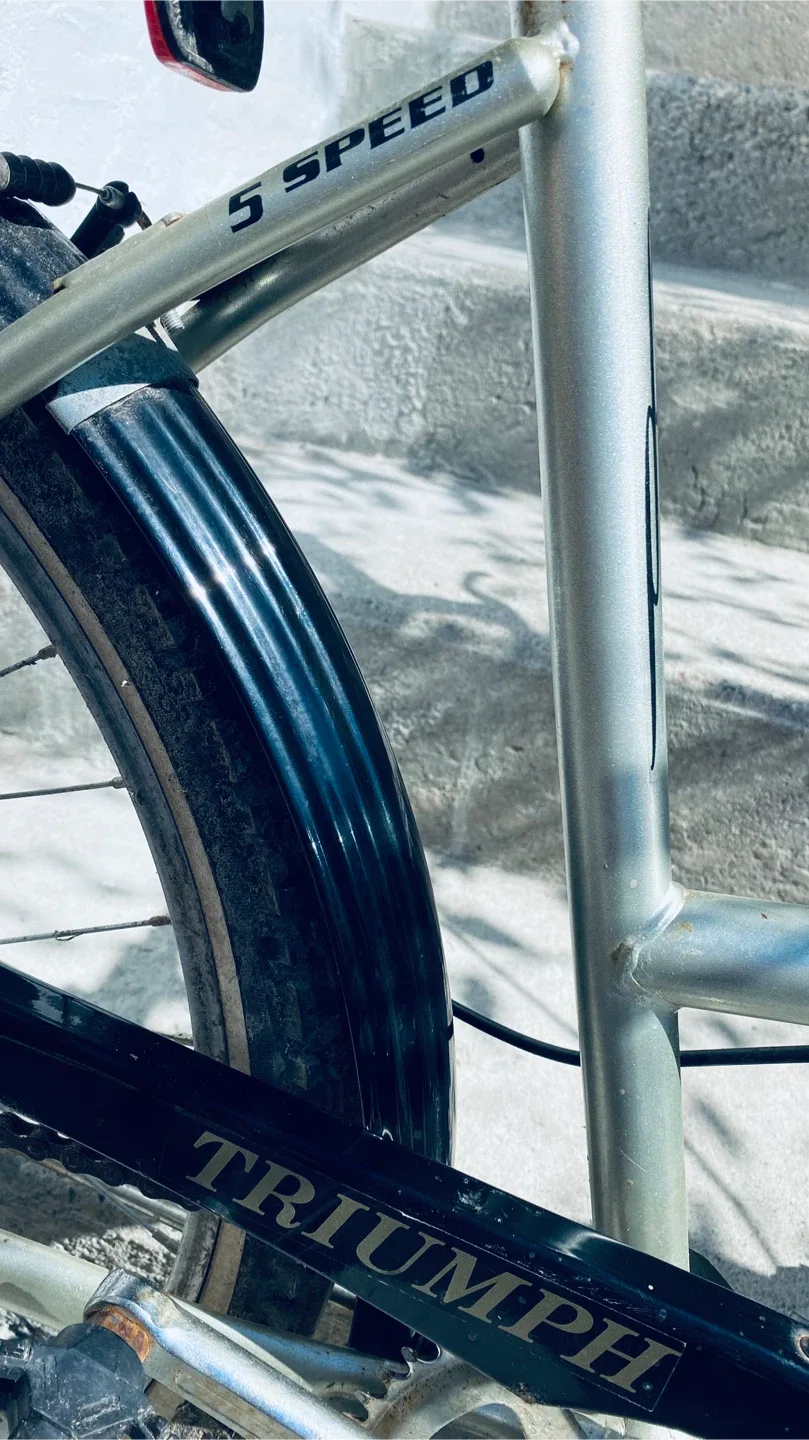 Triumph 5 Speed Lady’s Bicycle image indicator(2)