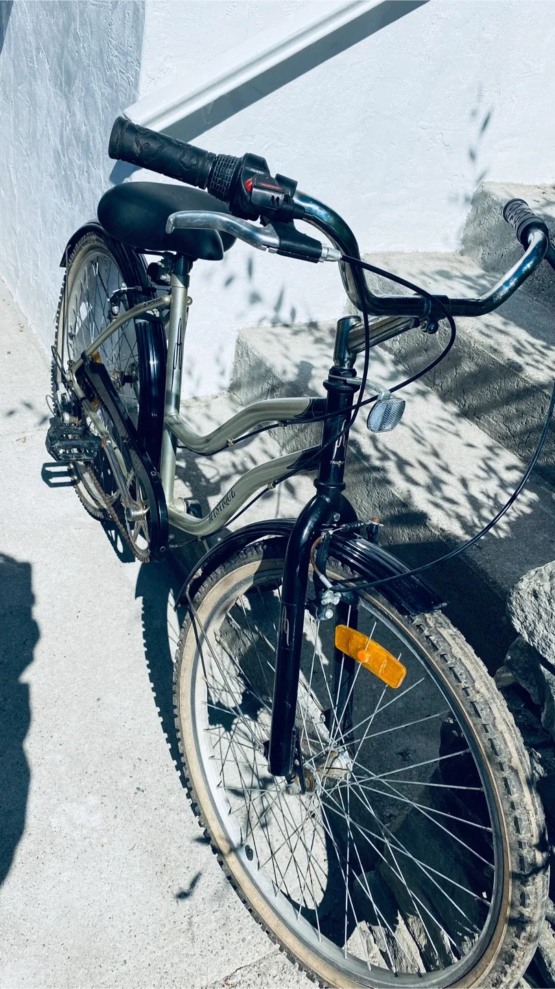 Triumph 5 Speed Lady’s Bicycle image indicator(3)