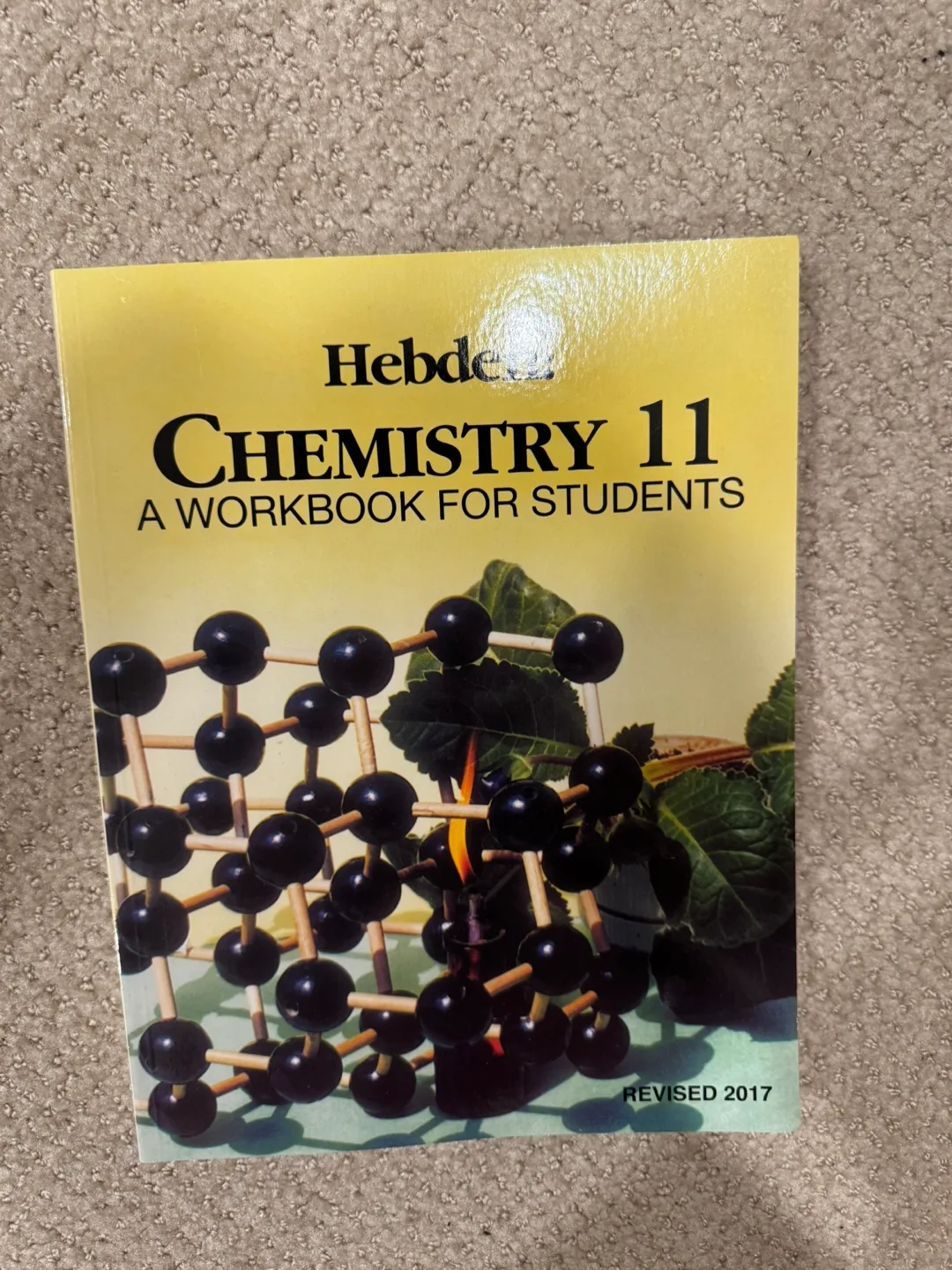Hebden Chemistry 11 Workbook thumbnail