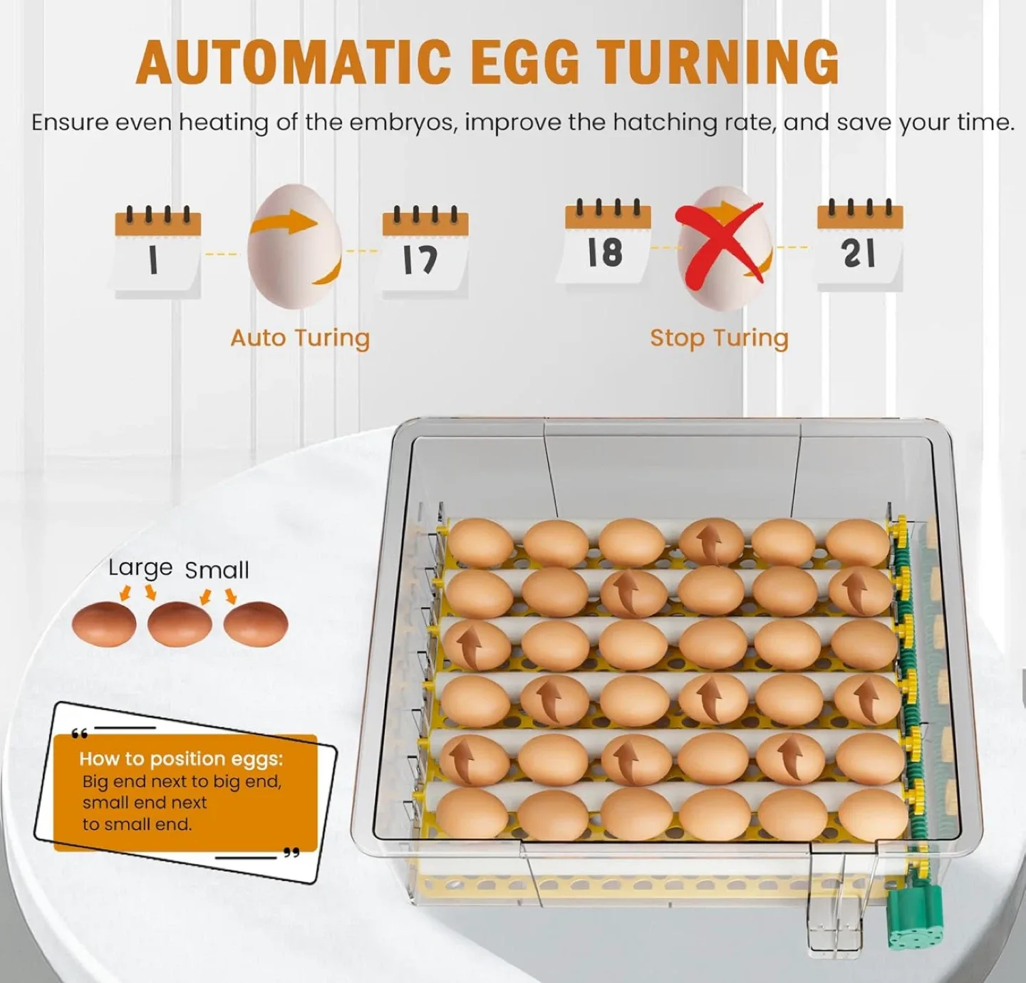 NEW Incubator for 36 Chicken Eggs, Auto Turning + Auto Controls image indicator(8)