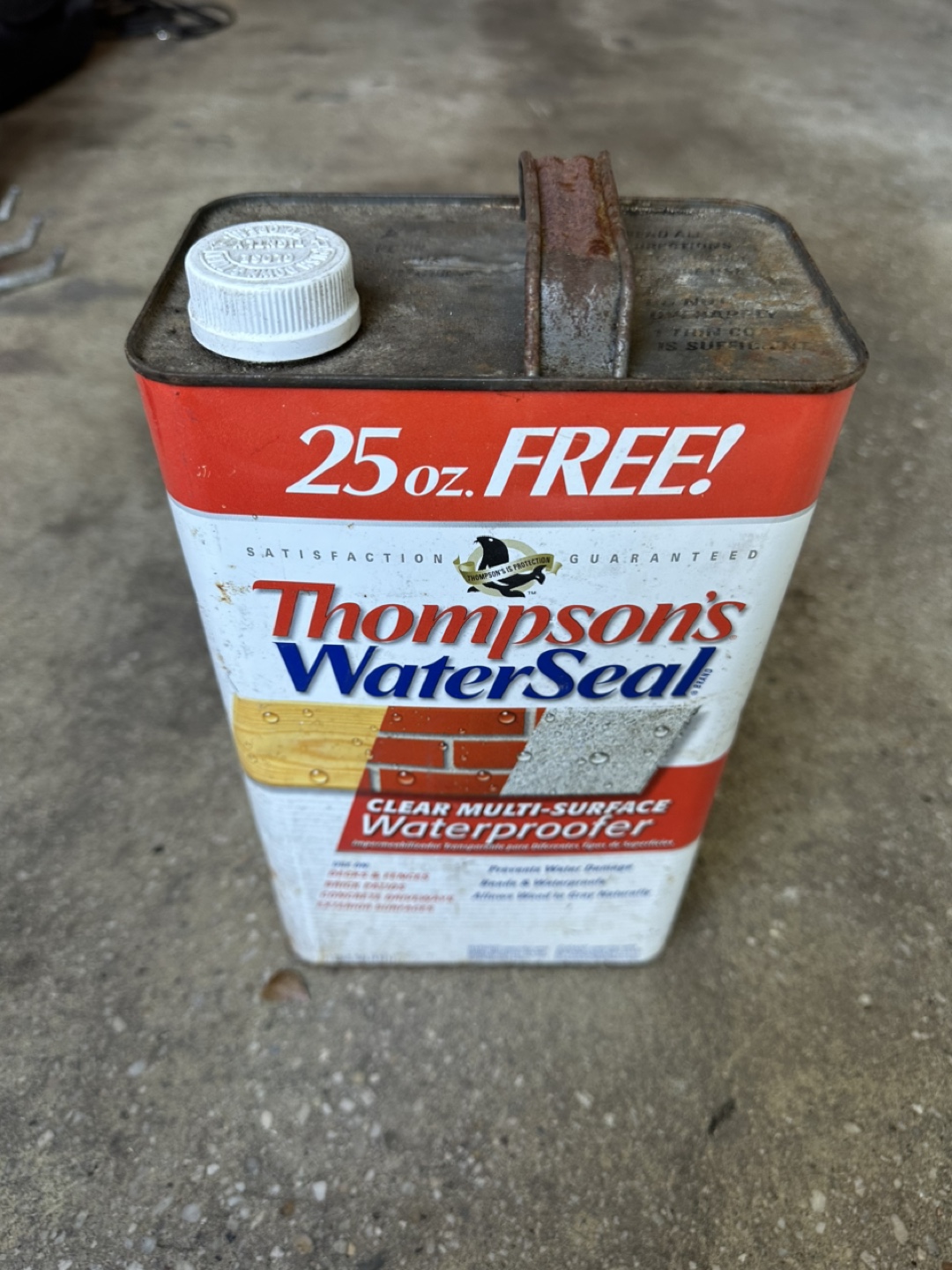 Thompson's WaterSeal Clear Multi-Surface Waterproofer