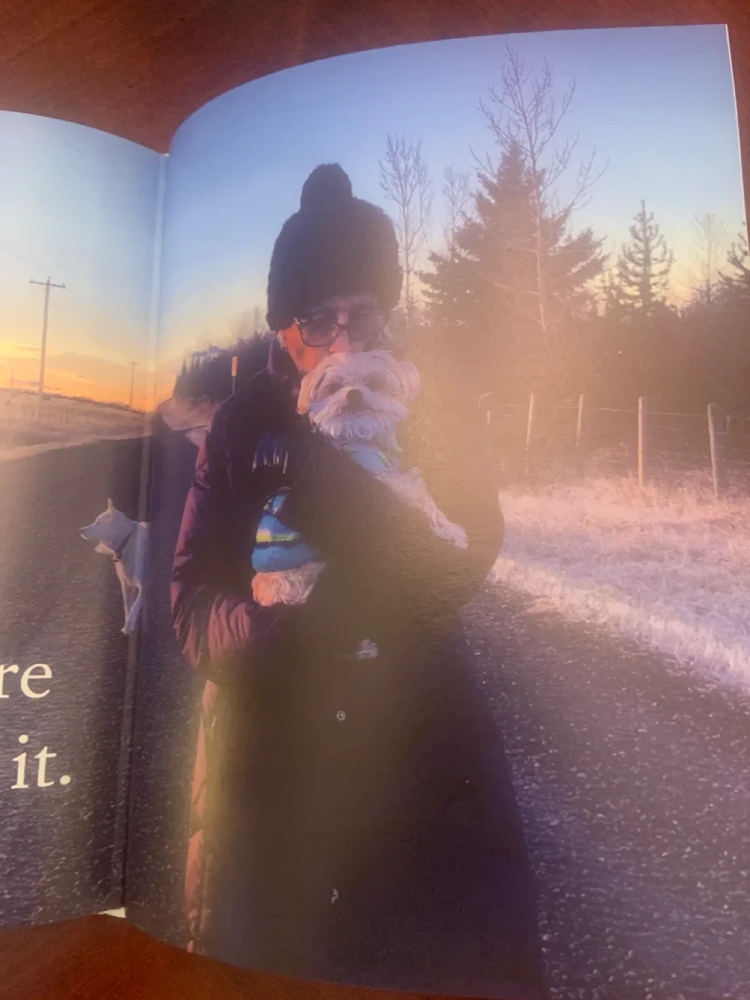 Feeding My Mother by Jann Arden image indicator(7)