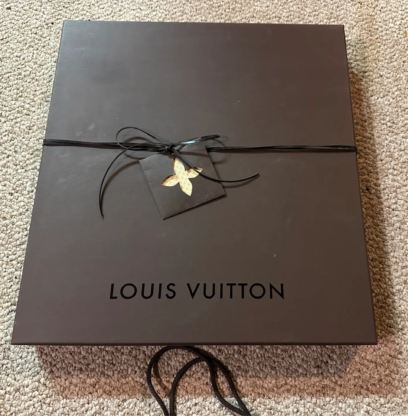 Louis Vuitton Box, Dust Bag and Paper Bag image indicator(2)