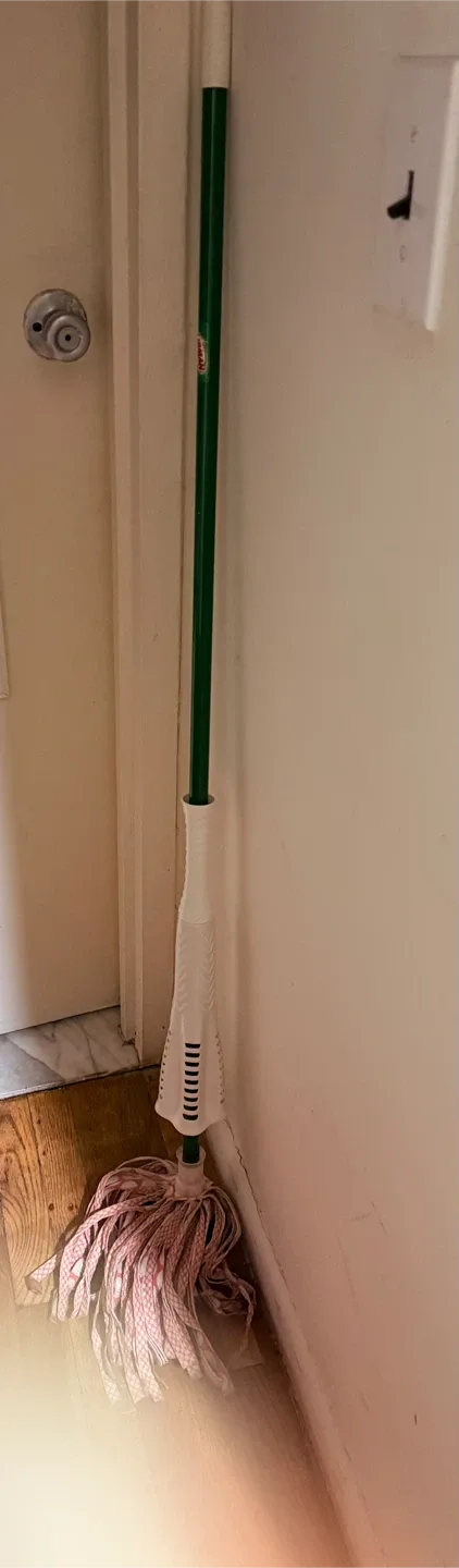 🥕 Libman Green Mop thumbnail