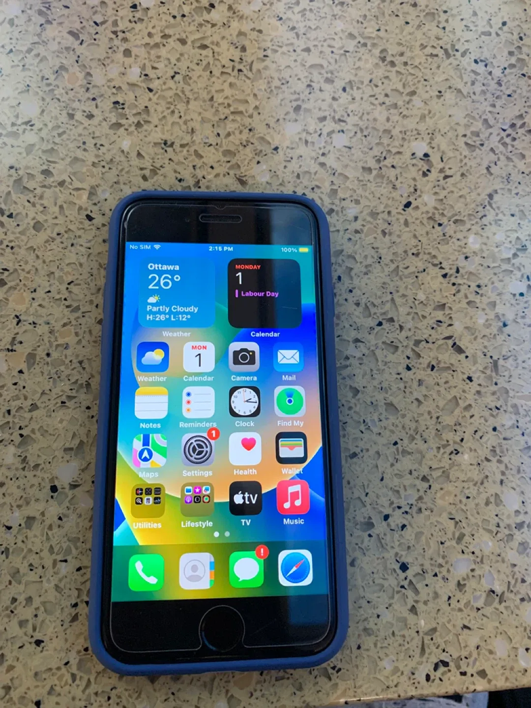 iPhone 8 64gb with Blue Case - Cracked back image indicator(3)