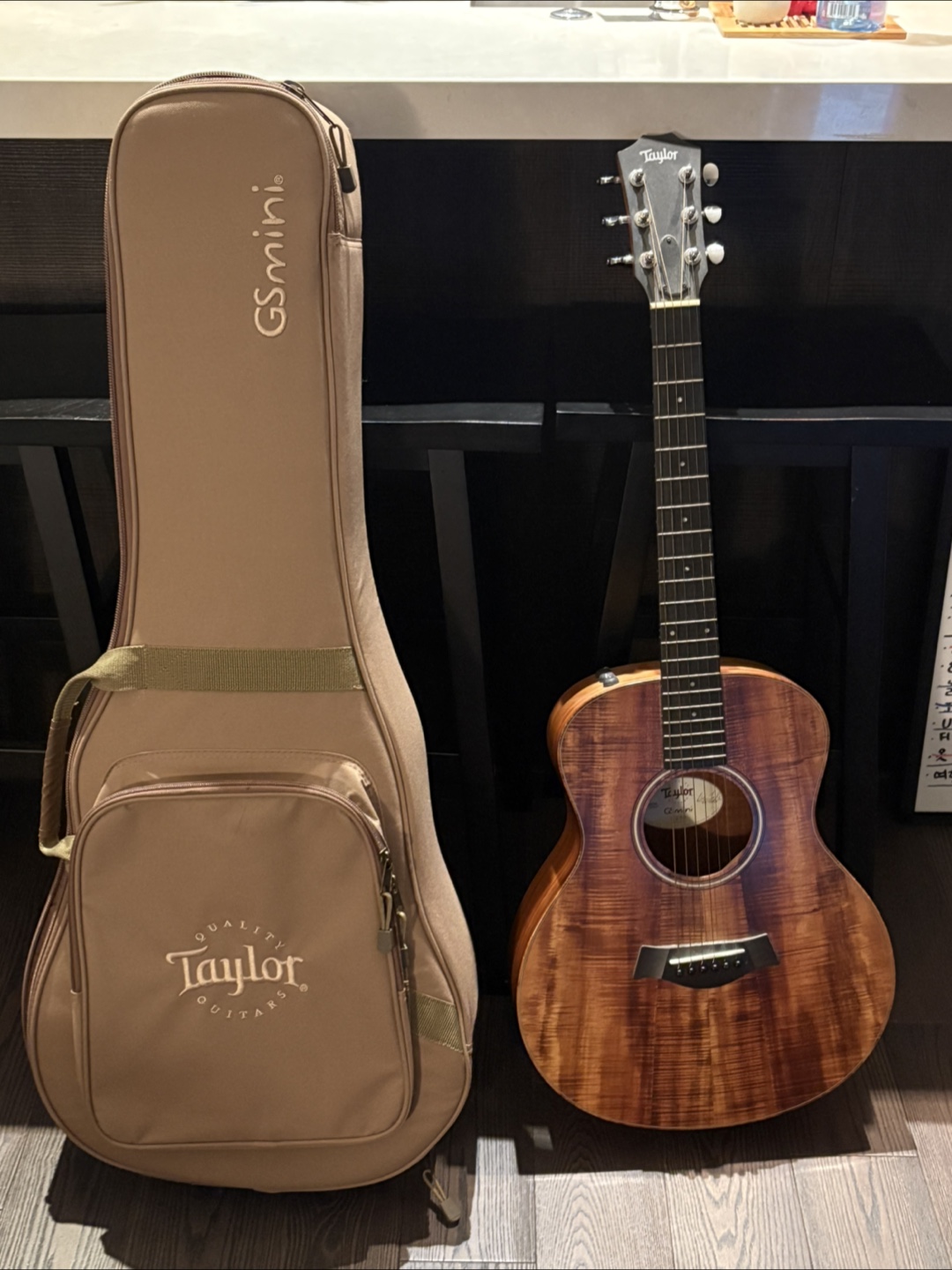 Taylor GS Mini Acoustic Guitar w/ Case
