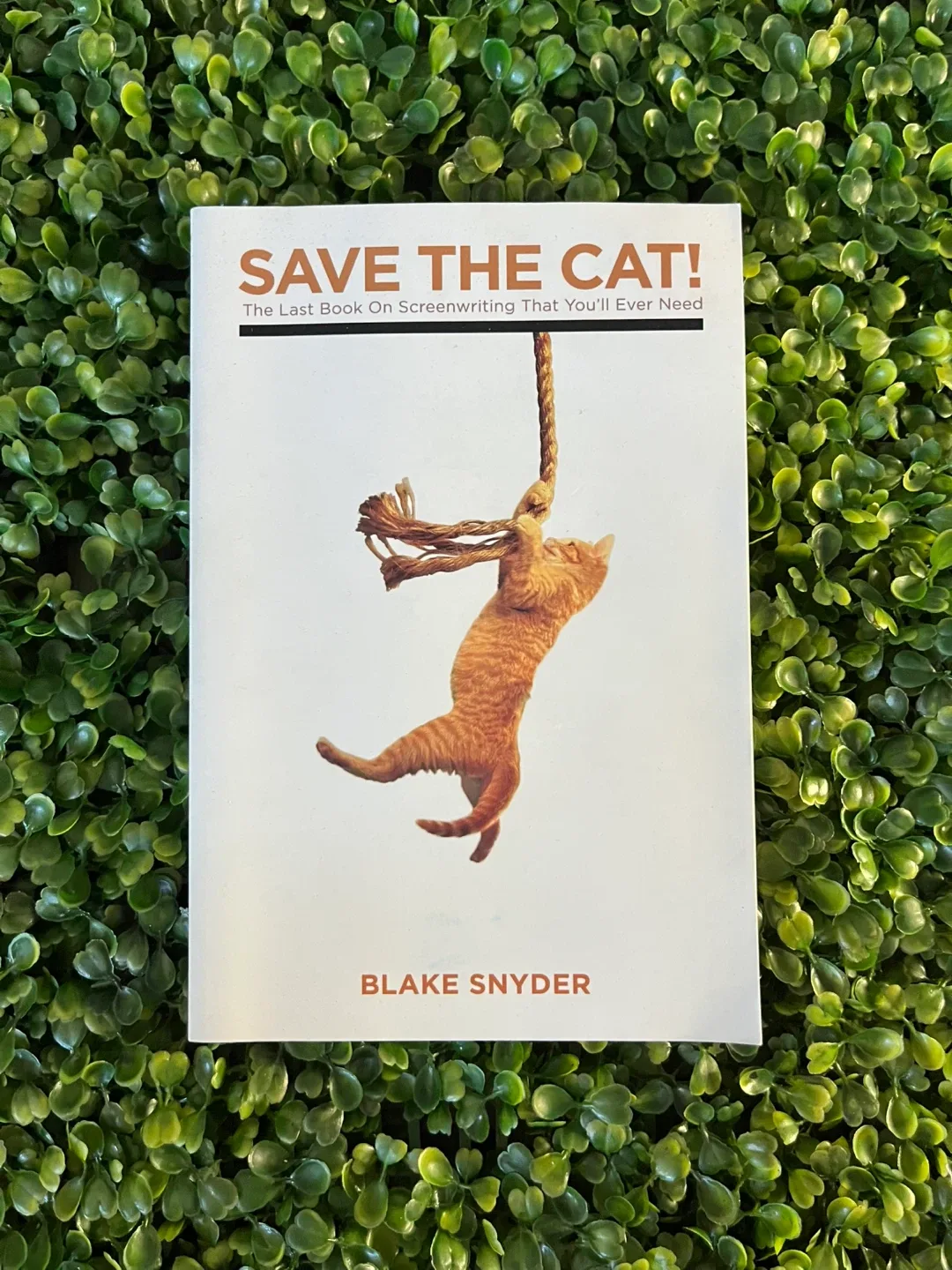 SAVE THE CAT Book thumbnail