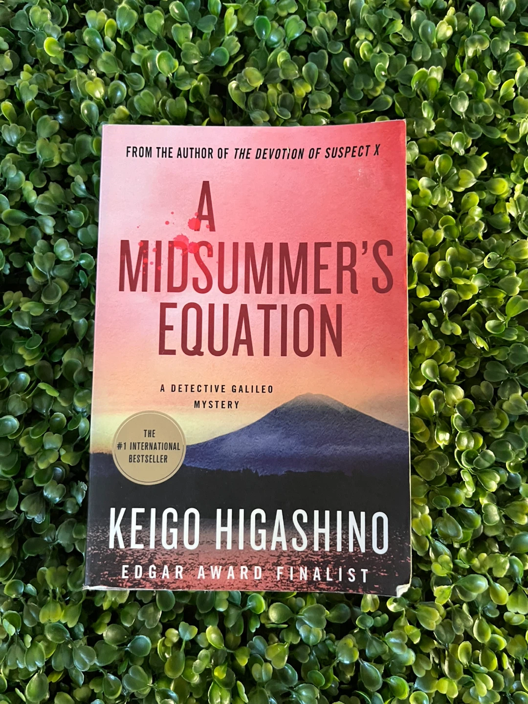 A Midsummer's Equation Book