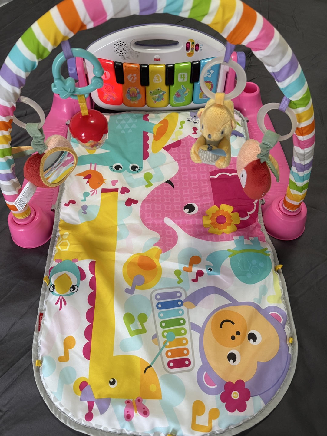 Fisher-Price Piano Gym Play Mat - photo 3