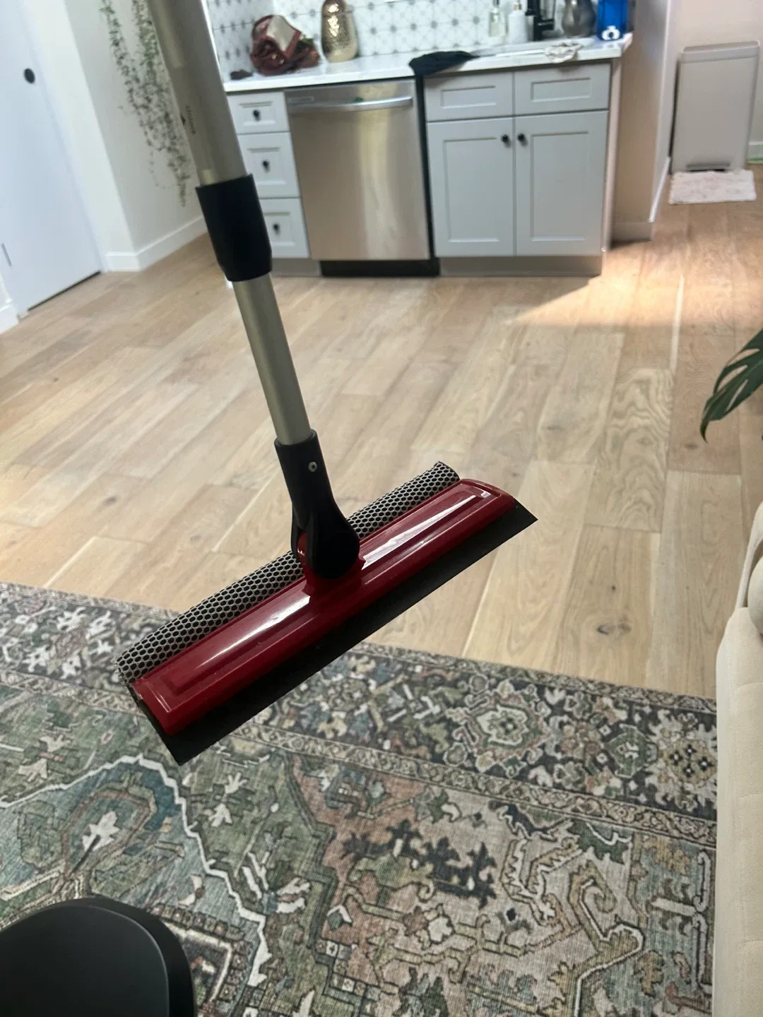 Window Squeegee image indicator(3)