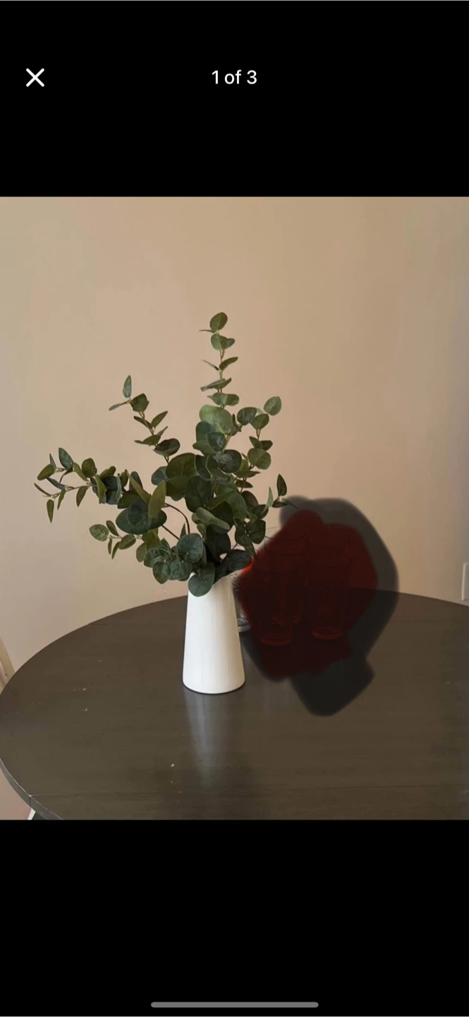 Eucalyptus Arrangement with White Vase