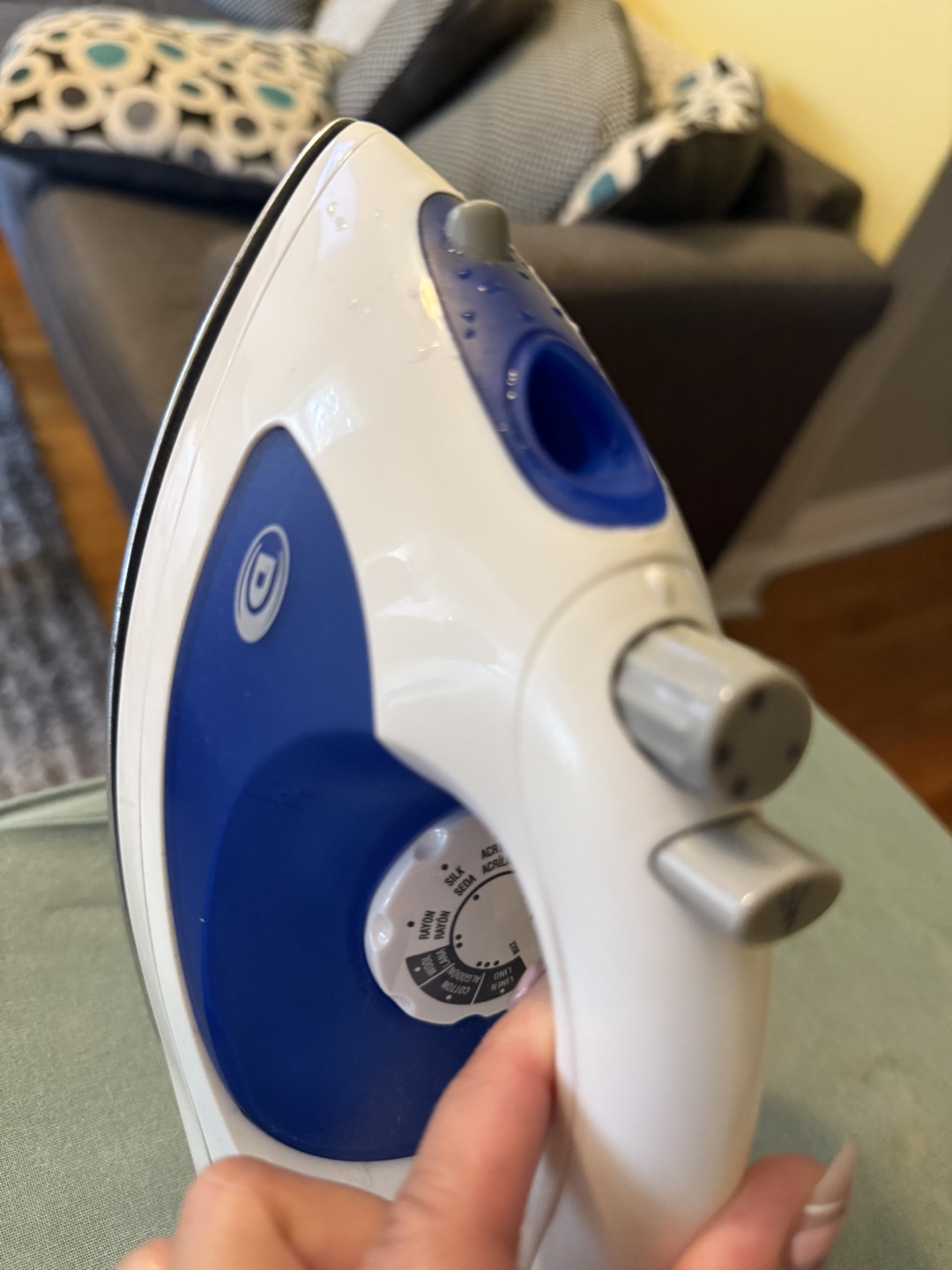 Durabrand Iron - Adjustable Steam - photo 4