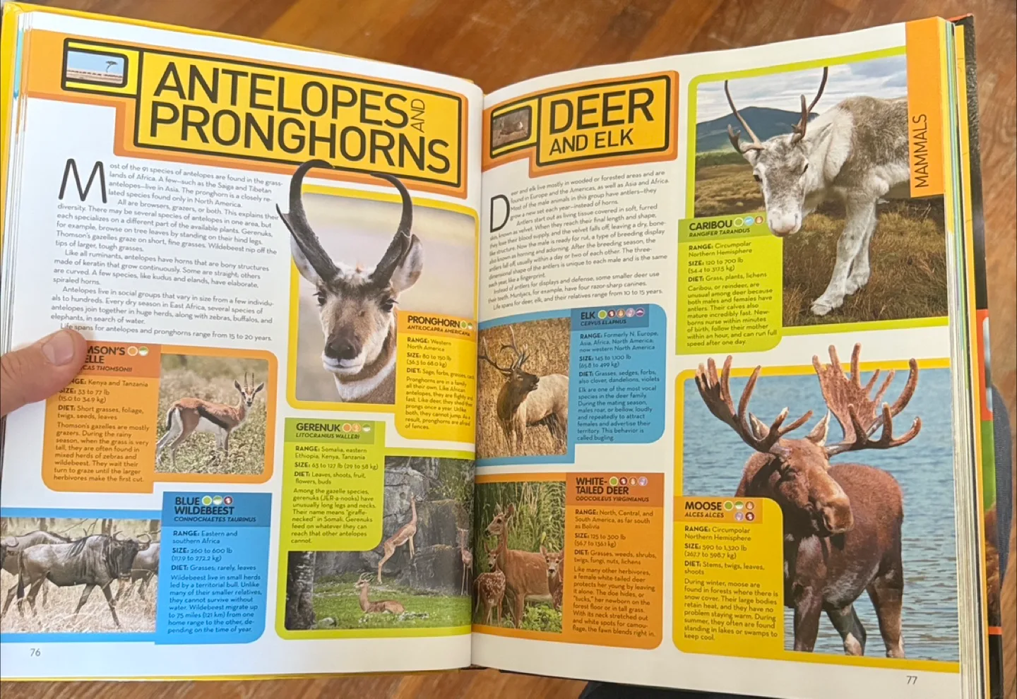 National Geographic Animal Encyclopedia image indicator(6)