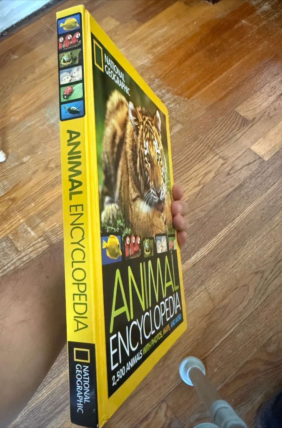 National Geographic Animal Encyclopedia image indicator(3)