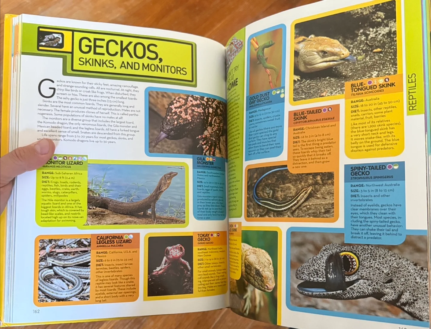 National Geographic Animal Encyclopedia image indicator(4)