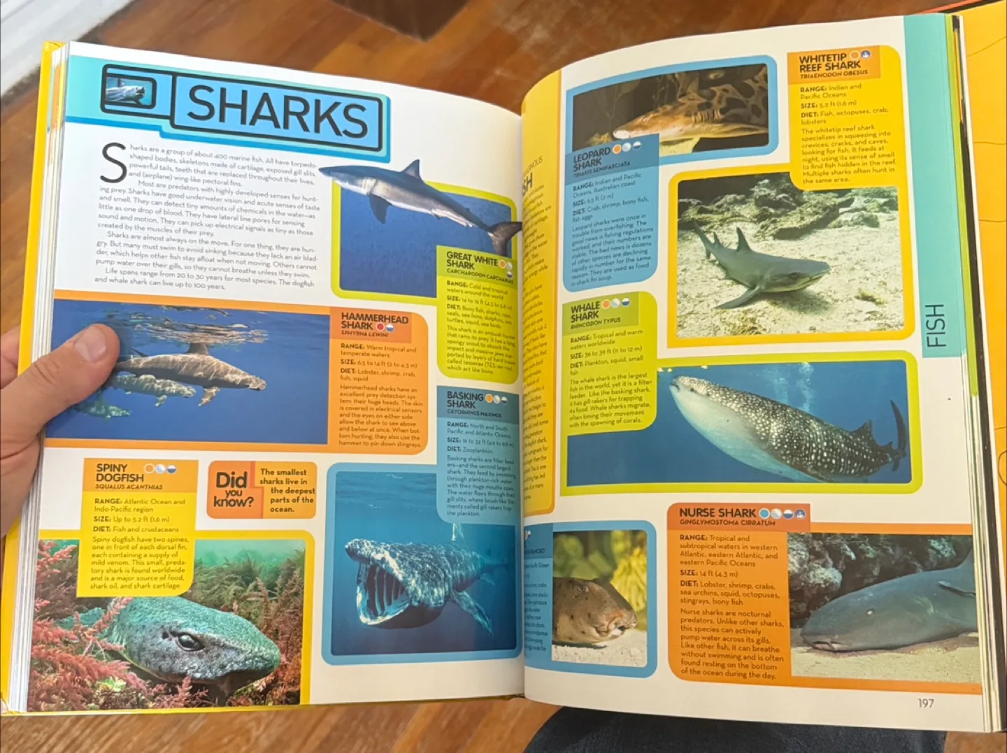 National Geographic Animal Encyclopedia image indicator(7)