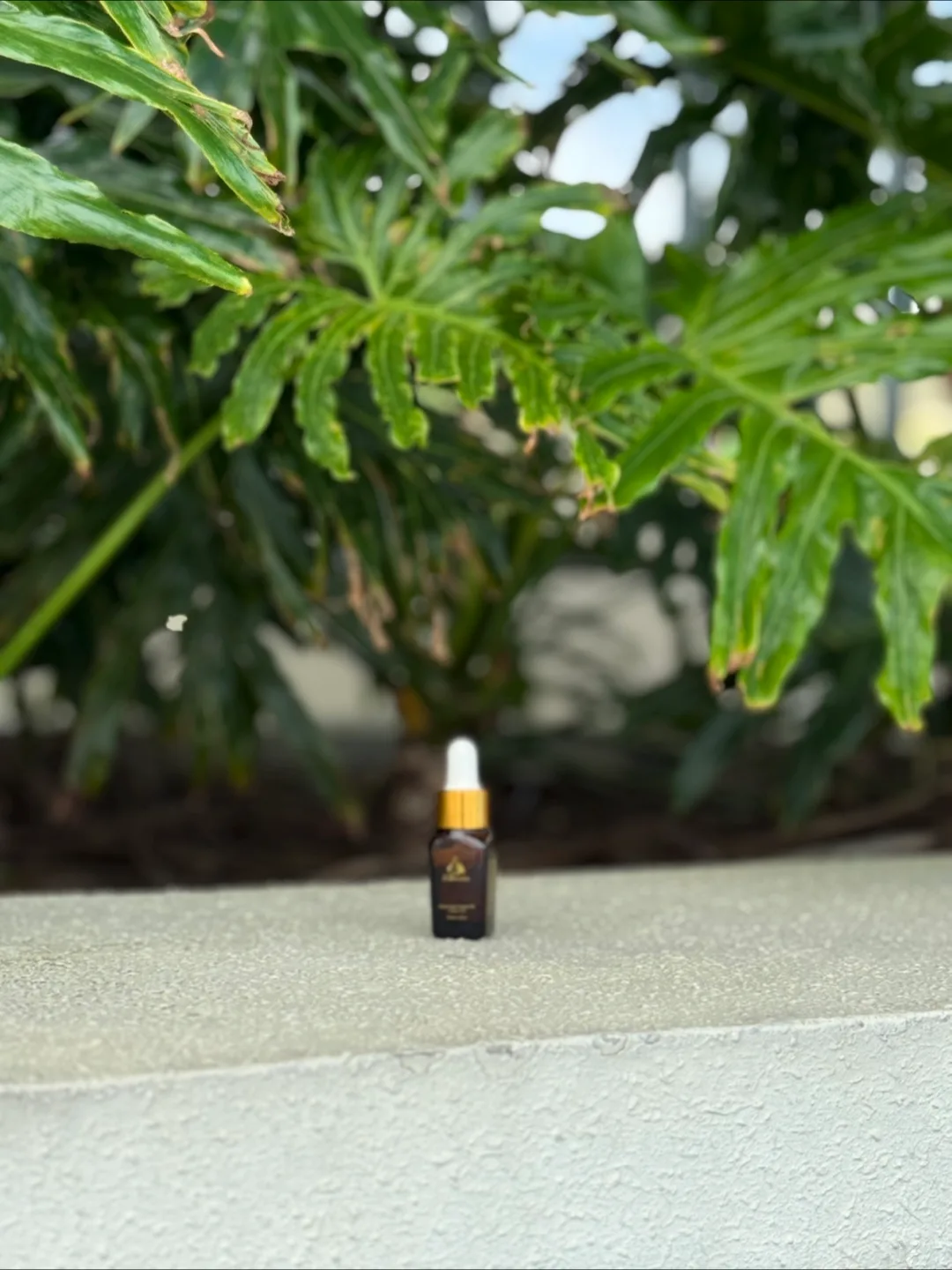 Belledmida Moroccan Argan Oil-Serum 10ml,50m,100ml image indicator(4)