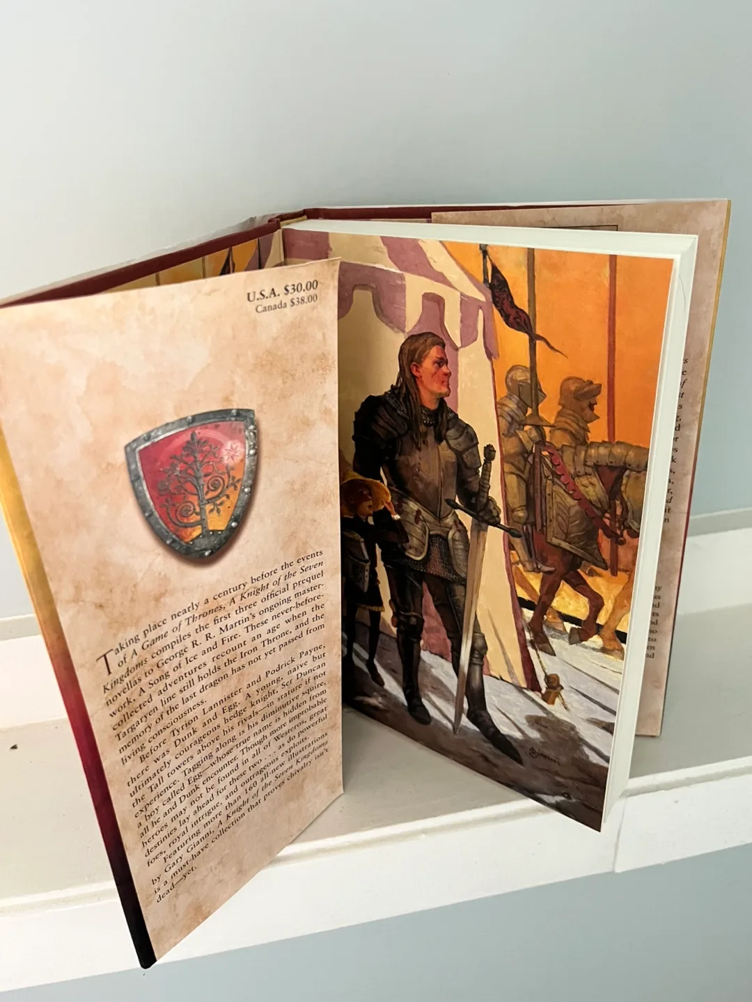 A Knight of the Seven Kingdoms Hardcover Book image indicator(5)