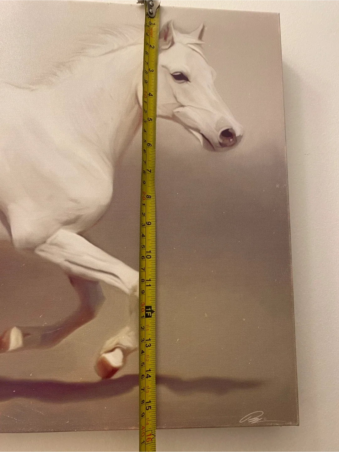 Horse Canvas Wall Art (47x16 inches) image indicator(4)