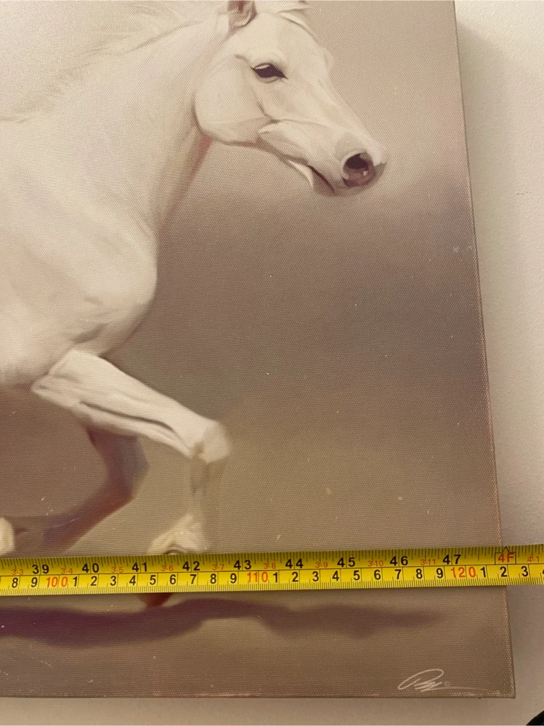 Horse Canvas Wall Art (47x16 inches) image indicator(3)