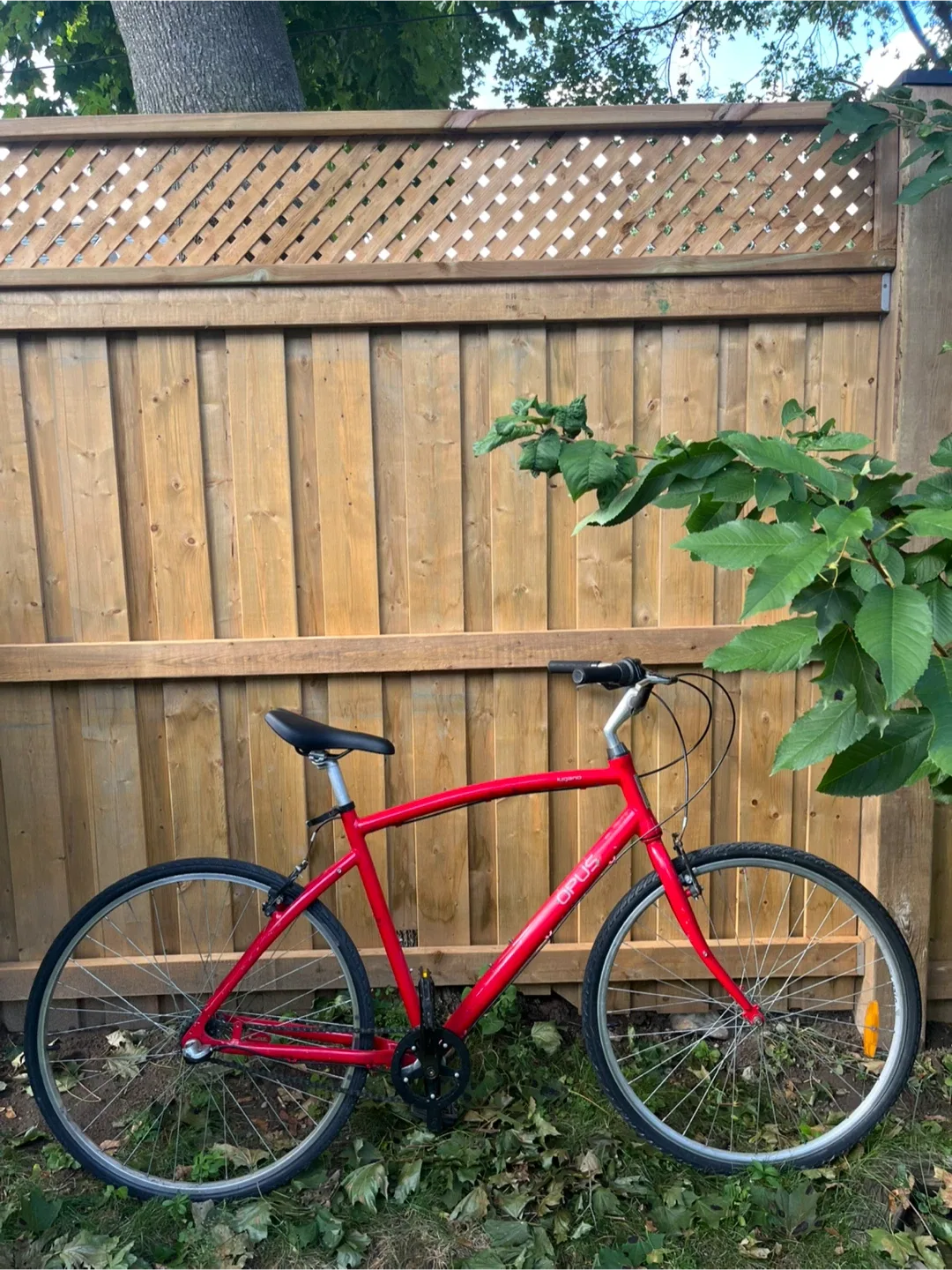 Opus Lugano Red Bicycle image indicator(3)