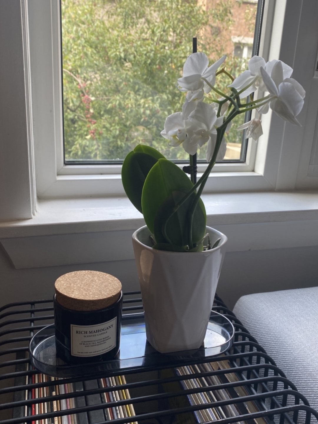 Smoke gray Plastic Tray