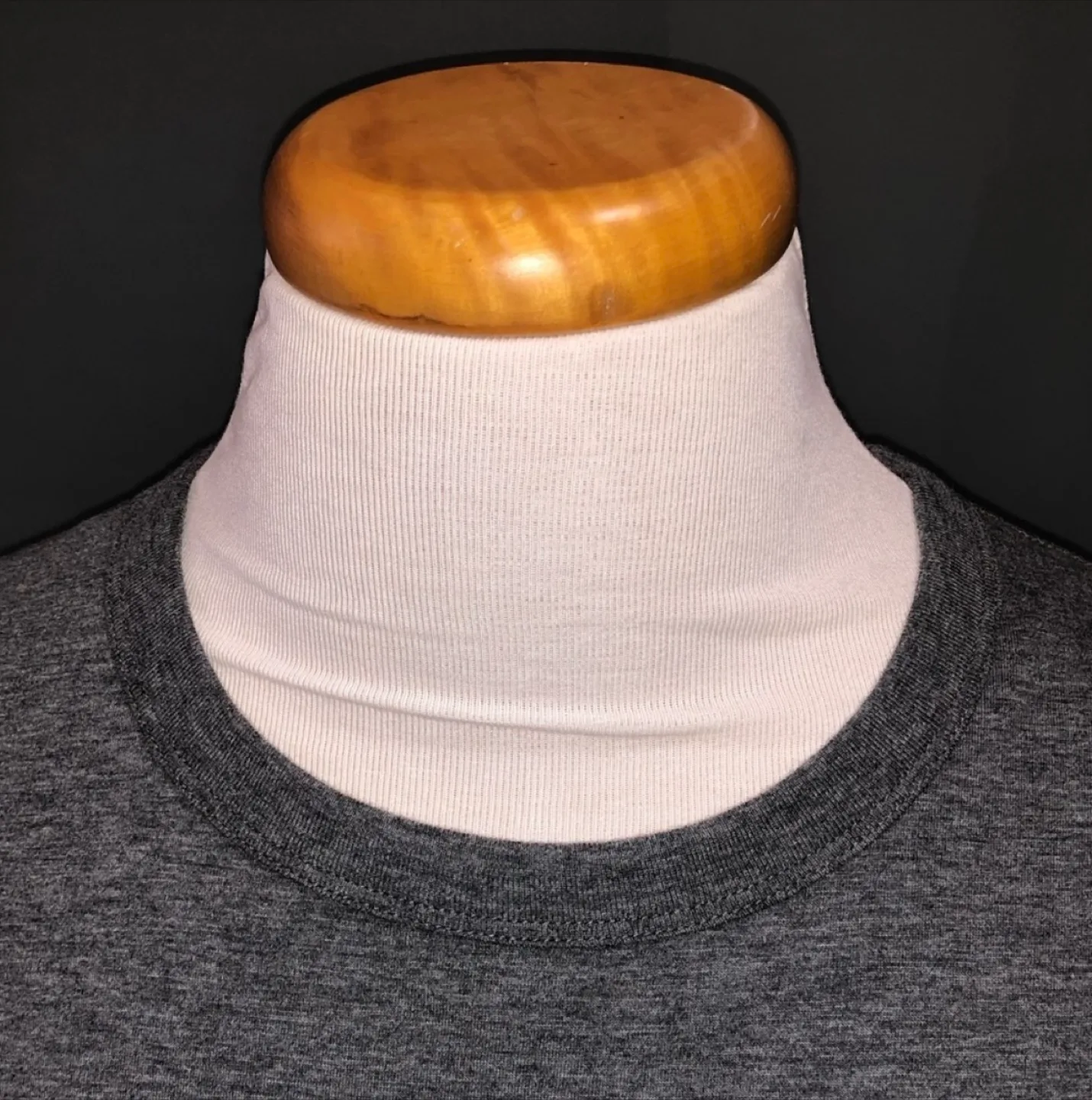 Icebreaker T-shirt image indicator(3)