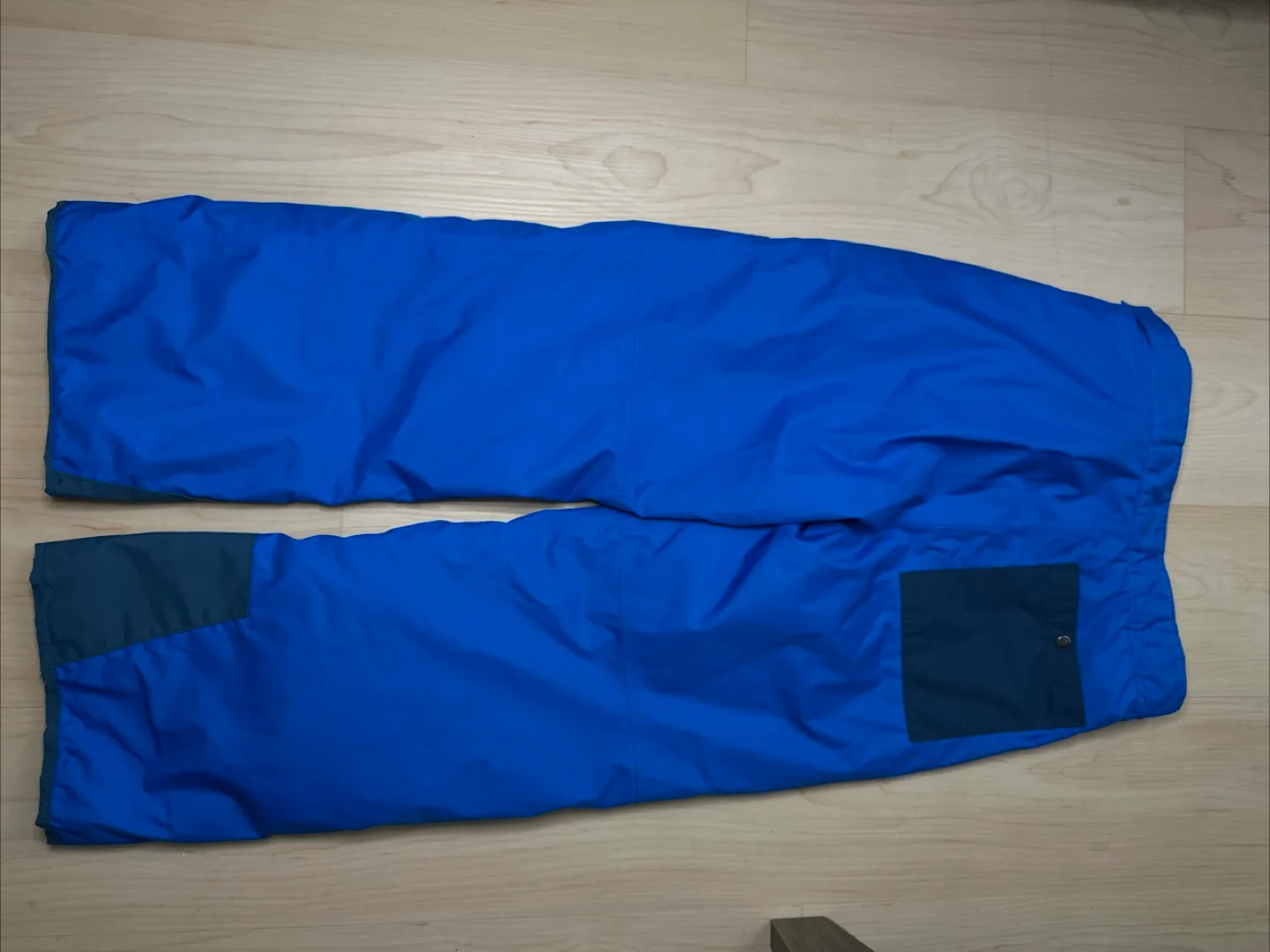 North face Snowpants image indicator(4)