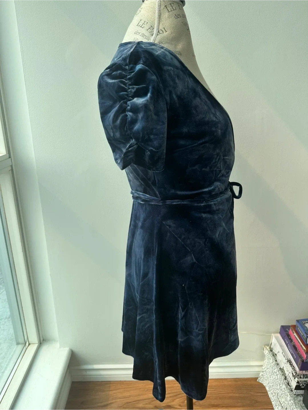 Blue Velvet Wrap Dress image indicator(3)