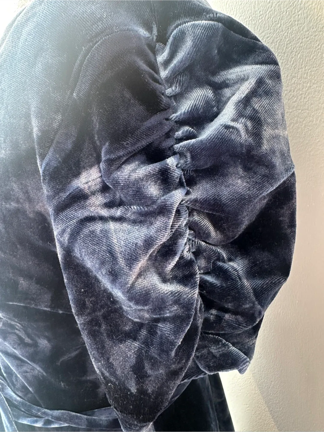 Blue Velvet Wrap Dress image indicator(5)