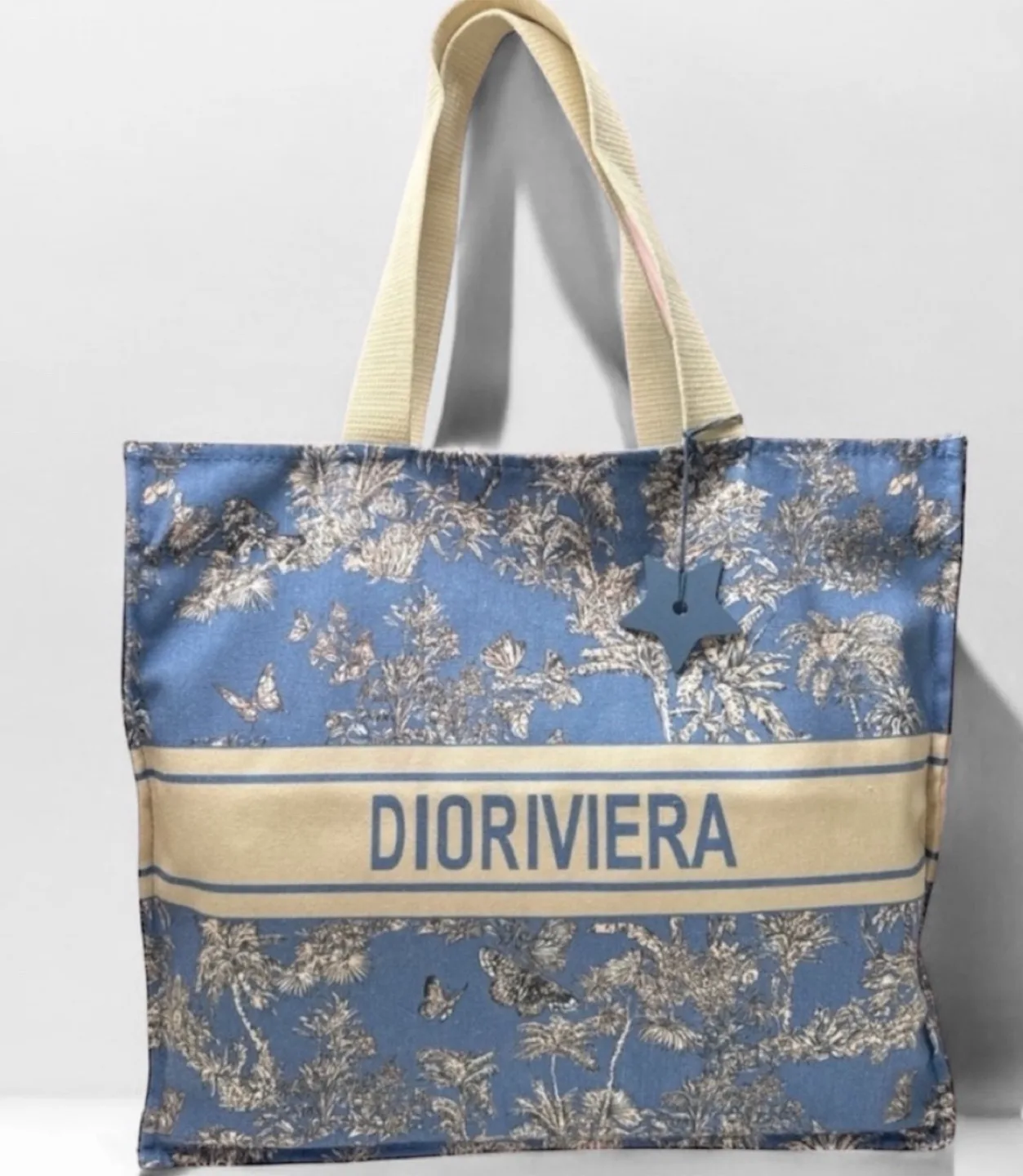 Christian Dior Dioriviera Blue Canvas Tote Bag image indicator(2)