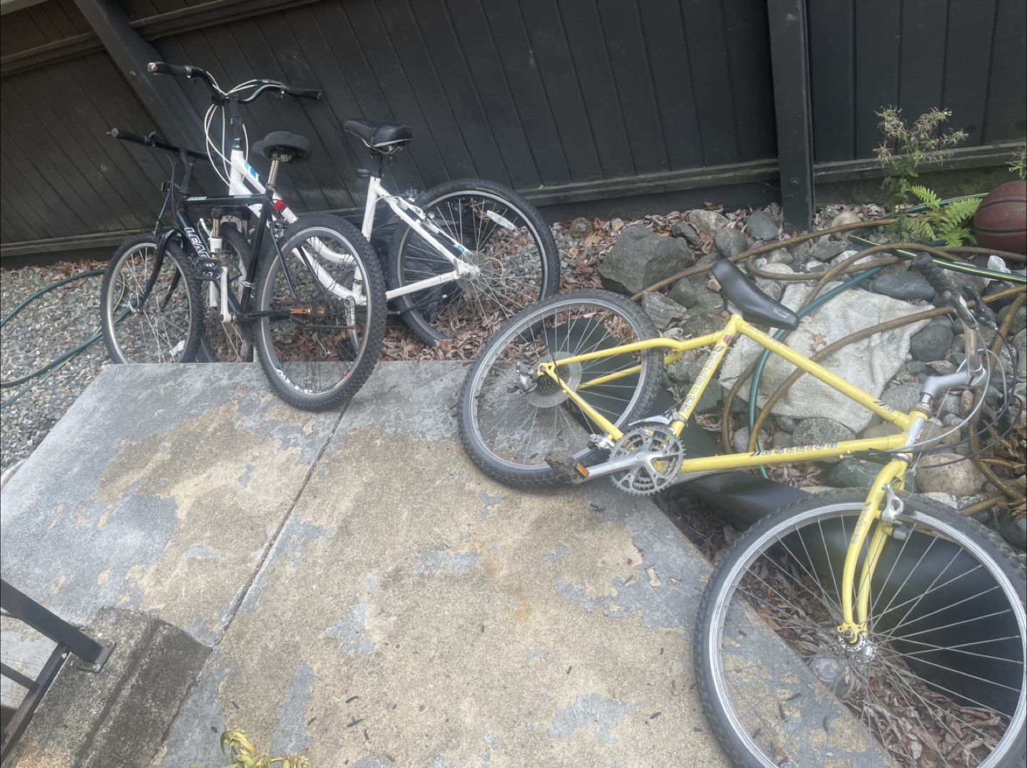 Three Bikes - Leader, Supercycle & Unbranded