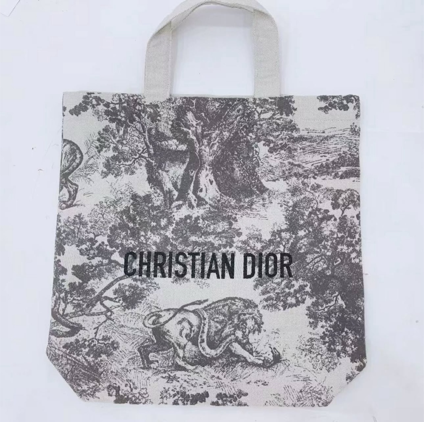 Christian Dior Toile de Jouy Tote Bag - photo 2