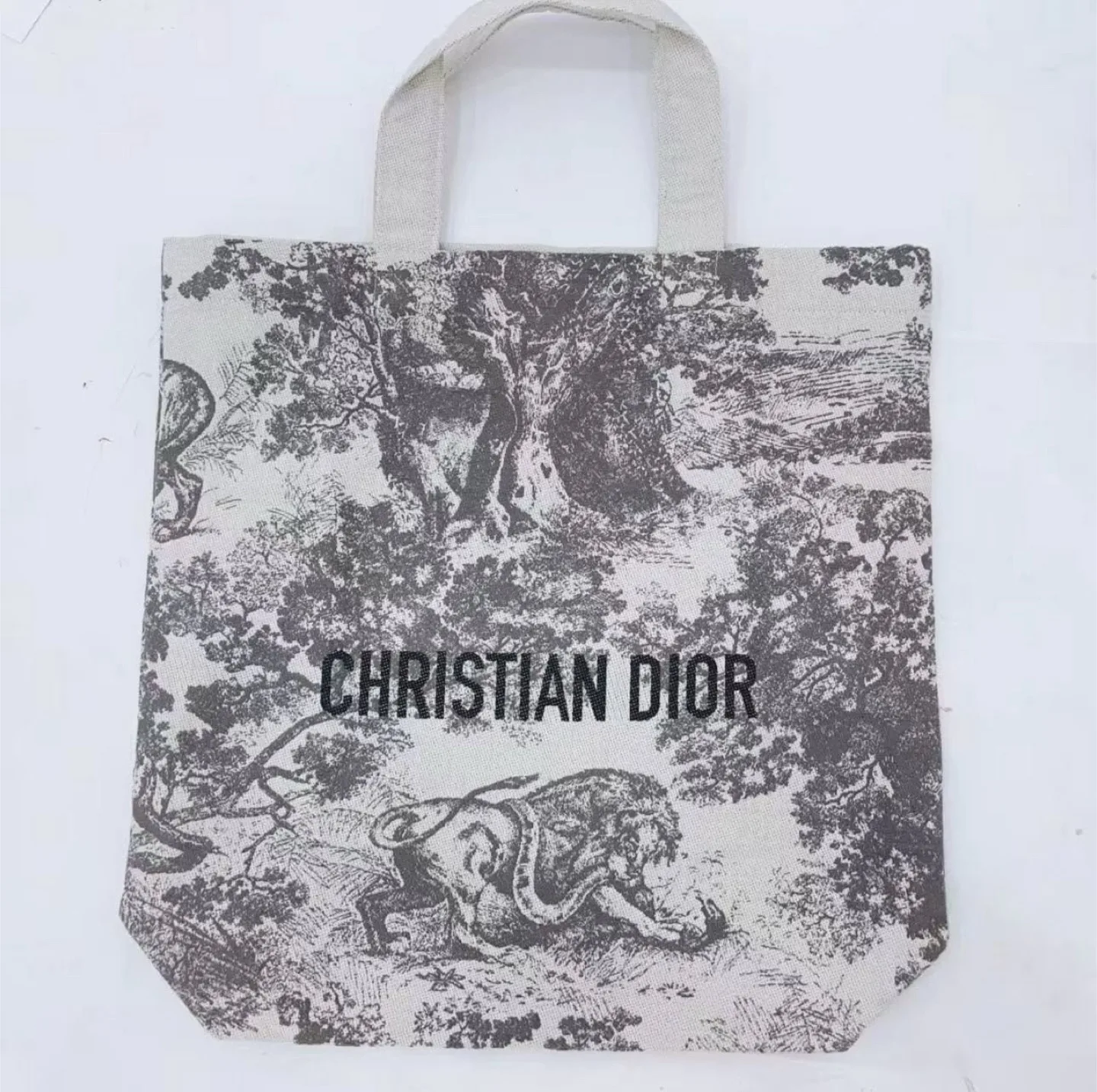 Christian Dior Toile de Jouy Tote Bag image indicator(2)