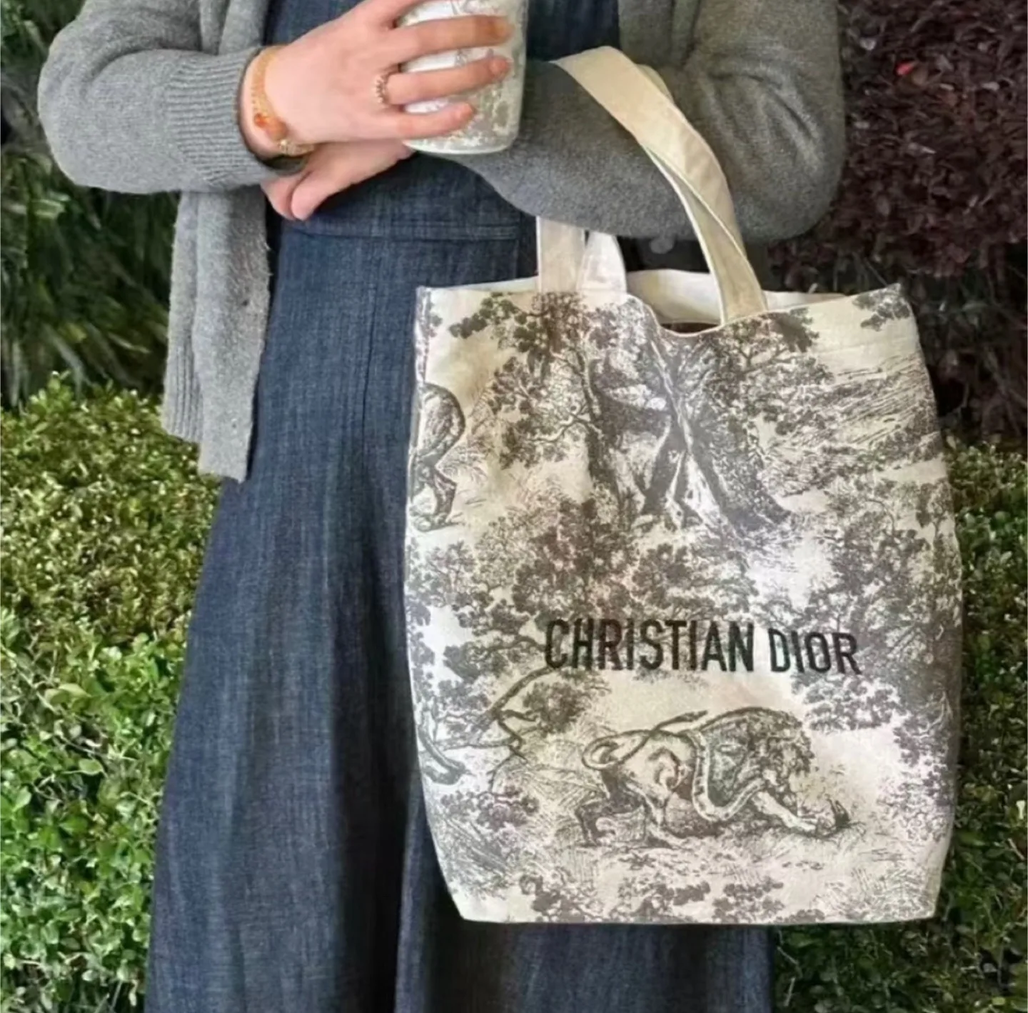 Christian Dior Toile de Jouy Tote Bag image indicator(5)