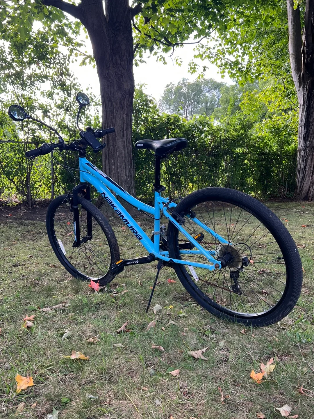 Nakamura bike - Blue image indicator(4)