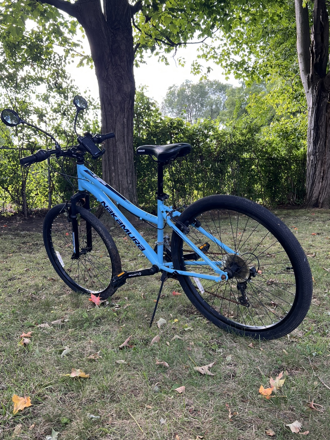 Nakamura bike - Blue